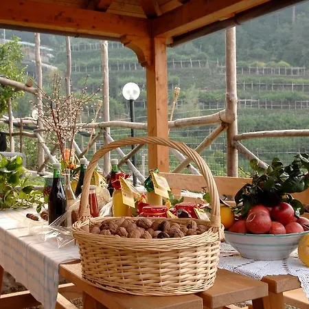 Casa Ortensia