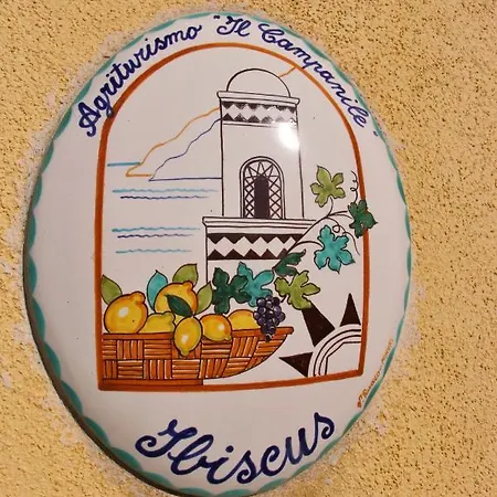 Casa Ortensia *